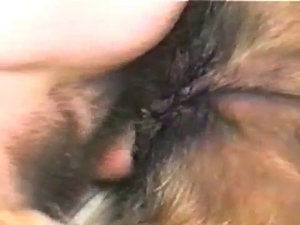 Dude violates this pooch's pussy