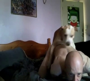 Elderly South Park fan fucks two dogs