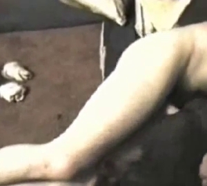 Dog gets fucked into submission