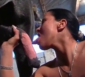 Perky tits brunette jerking horse's cock