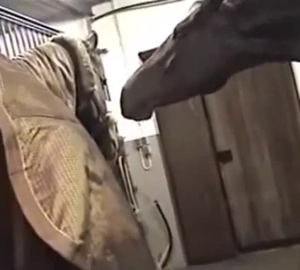 That horse pussy is magnetic