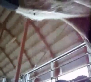 Wonderful action with a huge cock