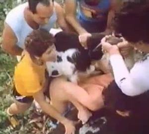 Dreamy zoophile whore gets disgraced
