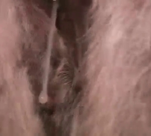 Exposing that tight animal slit right here