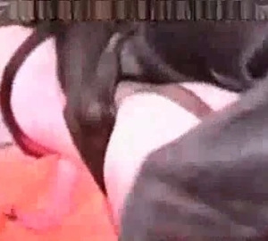 Very passionate sex with a very kinky dog