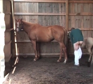 Dude is ready to fuck his nasty horse