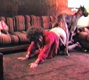 Retro bestiality with a fancy MILF