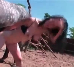 Nasty horse teasing her pussy