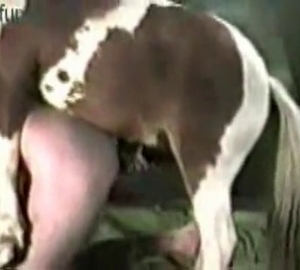 Passionate bestiality with a horse