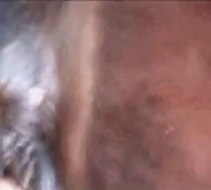 Brunette fisting that horse's gaping hole