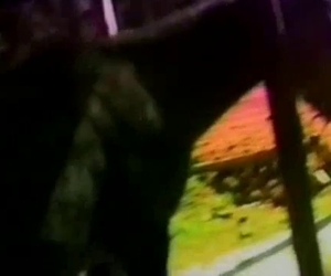 Dude drills that animal from behind