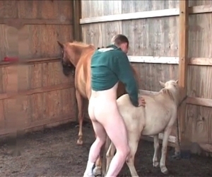 Dude fucks every single animal he sees