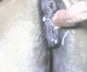 Sticking that cock where it belongs