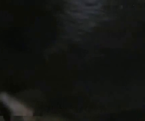 Slut in stockings fucking a black dog