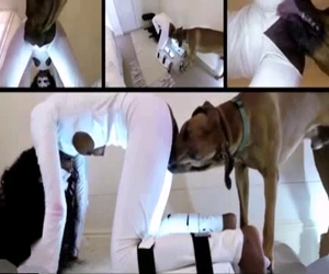 Multi-cam set-up is perfect for zoo vids
