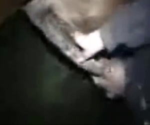 Balding zoophile blows a horse