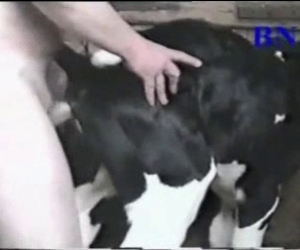 His big cock is perfect for that animal