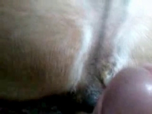 Dog almost biting that thing off