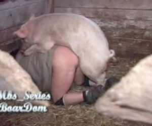 This intense piggy is having steamy sex with a zoophile slut