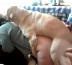 Thick zoophile is banged from behind in this hot video