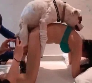 Sexy babe got her ass nailed by an animal