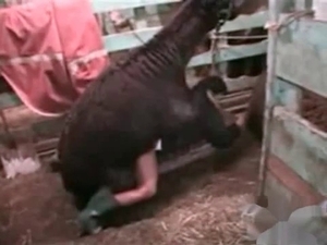 This horny girl is showing off her fetish for bestiality