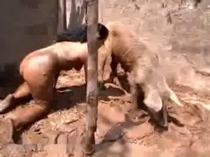 Sexy as hell beast likes bestiality sex so much
