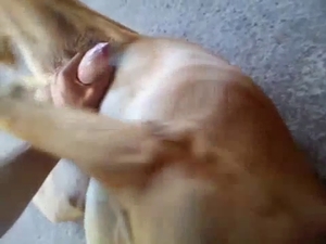 Dude cannot wait to fuck that dog