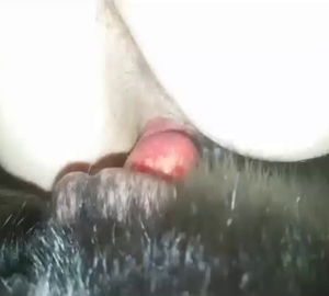 Doggy red penis looks great in her tight anal