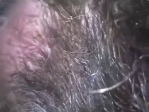 Dude gets to service his boss' big dick doggo