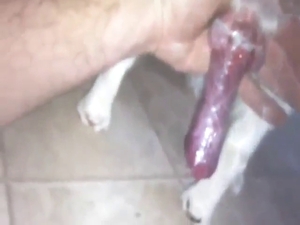 Very hard & thorough oral session with dog sucker