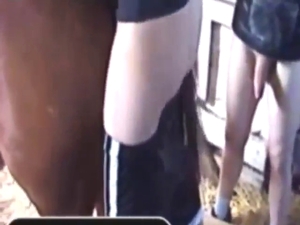 Big juicy human cock is used for pleasure here