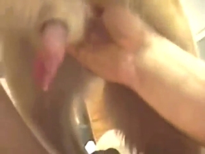 Animal fucking scene with close-ups, jerking