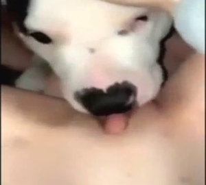 Seductive beast is licking up and down her cunt