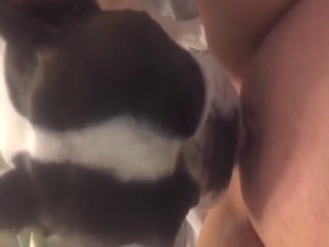 Sexy animal is going to lick that smooth vagina