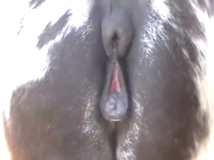 Mare's hot vagina is going to be exposed outside