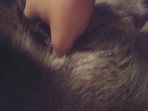 Fingering that dog's asshole gets him so hard