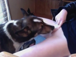 Dog is going to make this 18+ teen scream